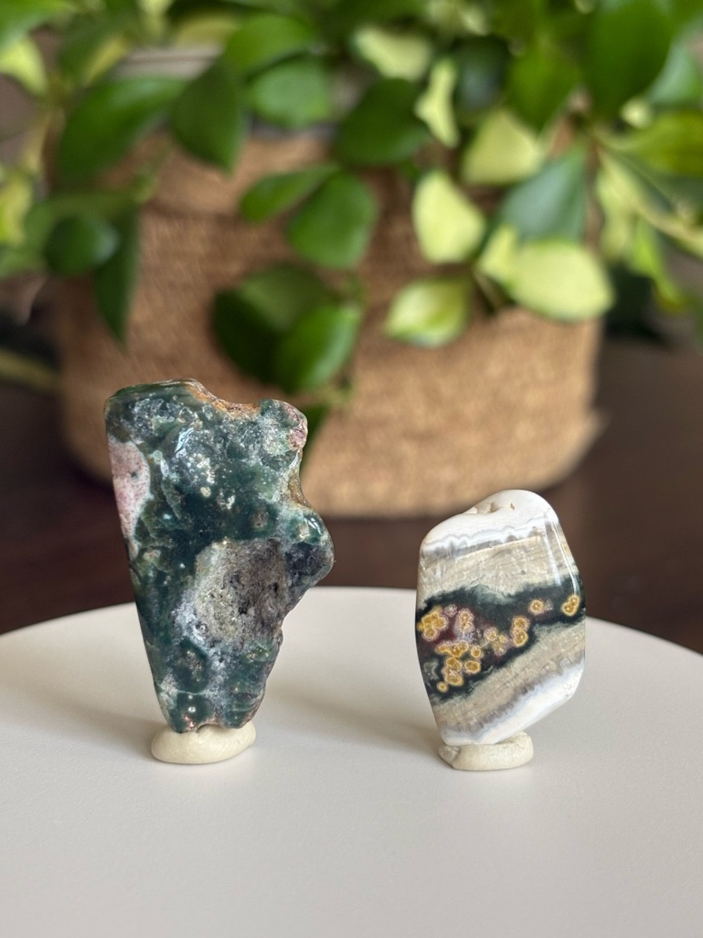 Ocean Jasper Crystal Set - Orbicular Jasper - Polished Sea Jasper Bundle